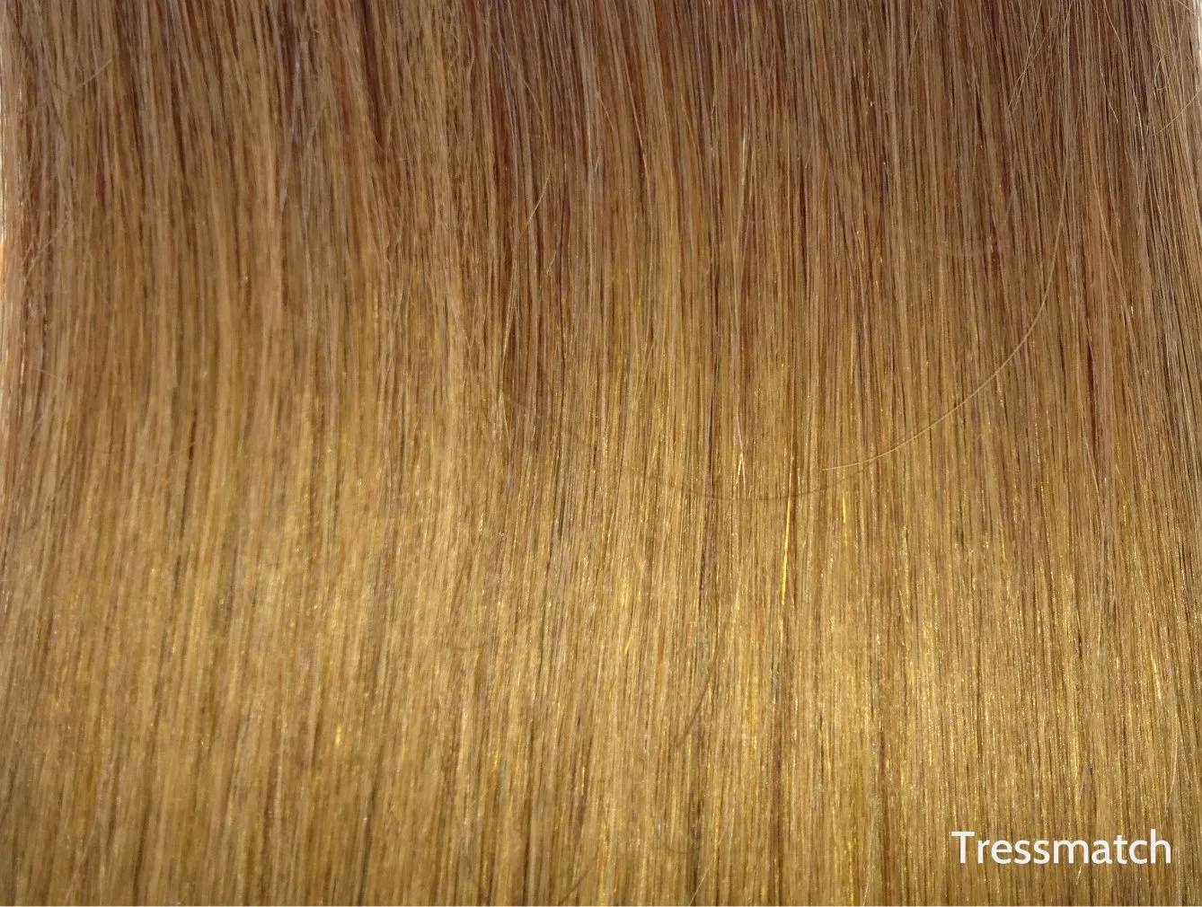 20"-22" Remy Human Hair Clip in Extensions Thick to Ends Caramel/Honey Blonde (Color #27) Red 10 Pieces Full Head Set [5.7oz/160grams) …