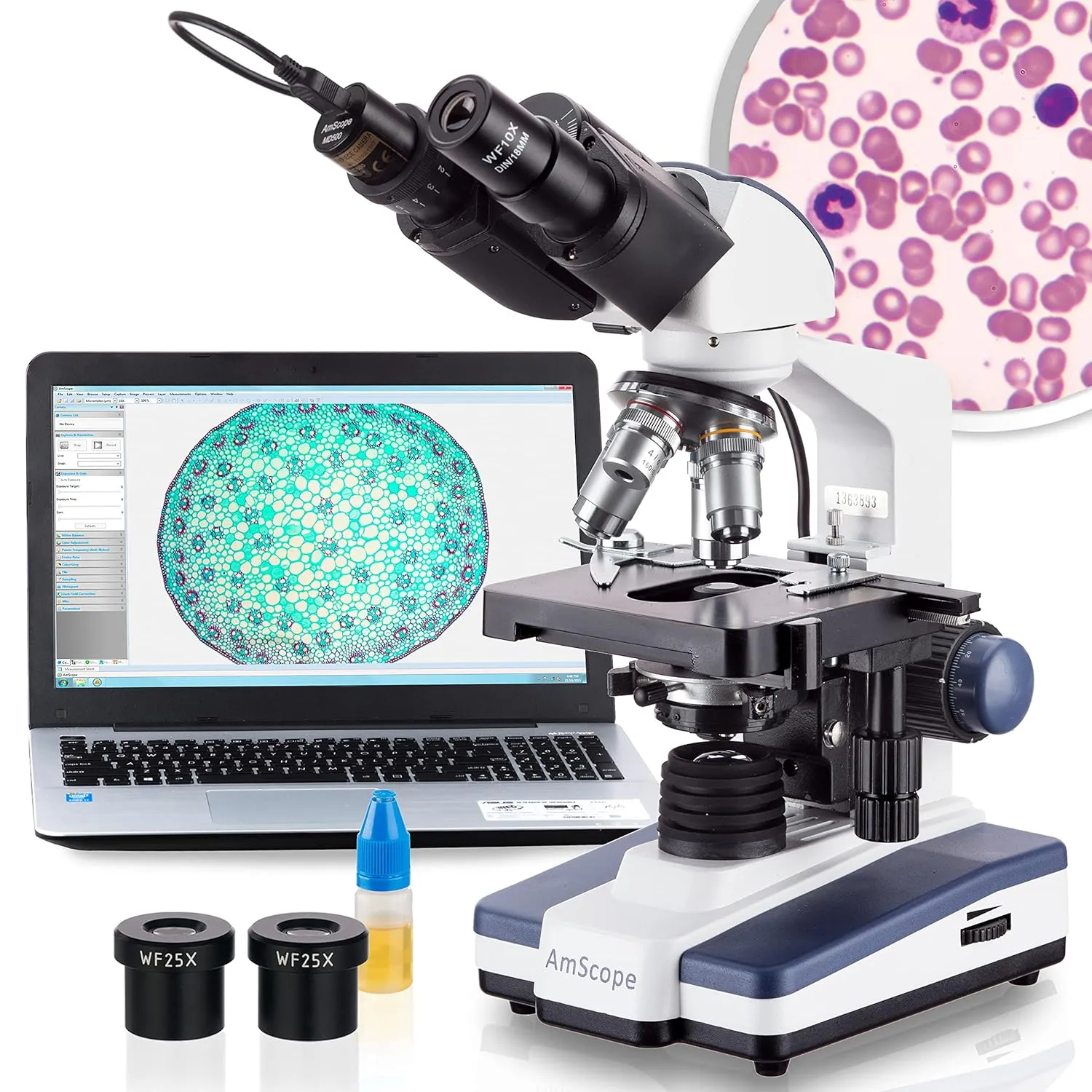 AmScope B120 Series Student & Professional LED Binocular Compound Microscope - 40X-2500X Magnification - Includes 0.3MP USB 2.0 Camera & Siedentopf Head