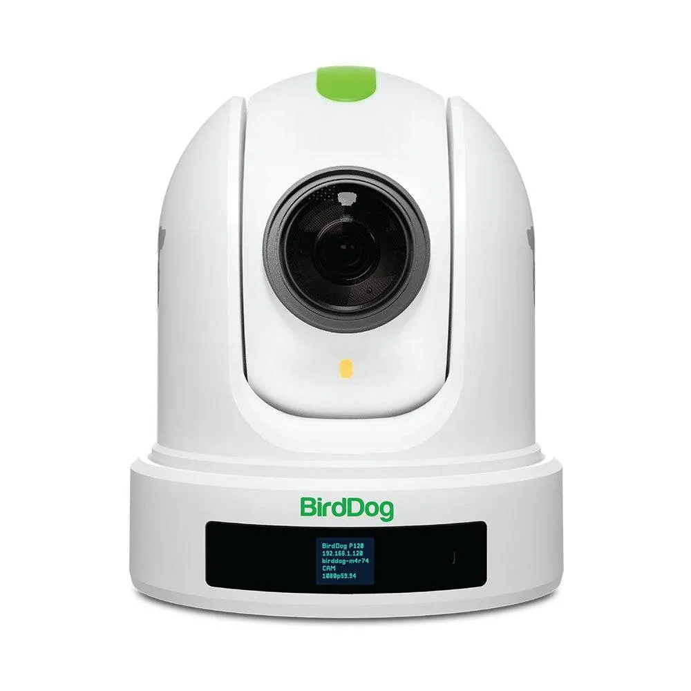 BirdDog P120 20x Full NDI PTZ Camera (White)