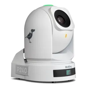 BirdDog P240 40X Full NDI PTZ Camera with HDMI/3G-SDI (White)