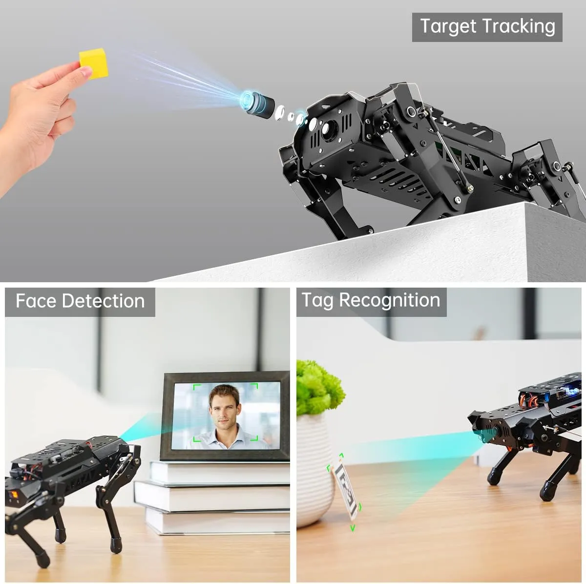 HIWONDER Quadruped Robot for RaspberryPi 5 ROS2 ROS1 Open Source AI Vision Smart Robot Dog for Adults and Teens, PuppyPi Advanced & RPi5 4GB