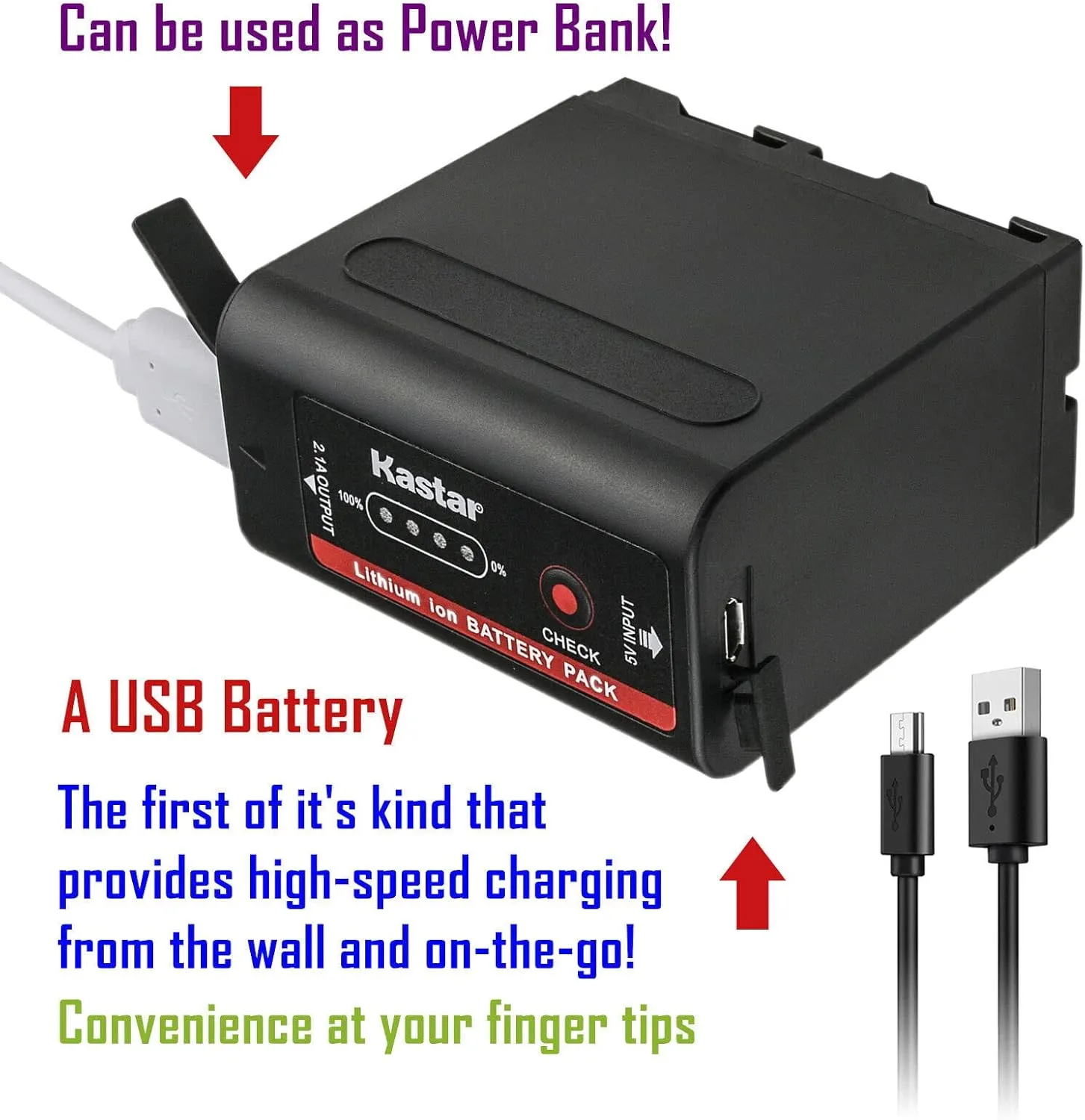 Kastar 4-Pack NP-F980EXP Battery and LTD2 USB Charger Compatible with DSR-V10 EVO-250 DKC-FP3GV-A100 GV-A500 GV-A500E GV-A700 GV-D200 GV-D300 GV-D700 GV-D800 GV-D900 GV-HD700E HDR-AX2000 Camera