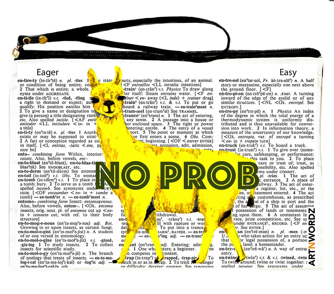 NO PROBLAMA POUCH