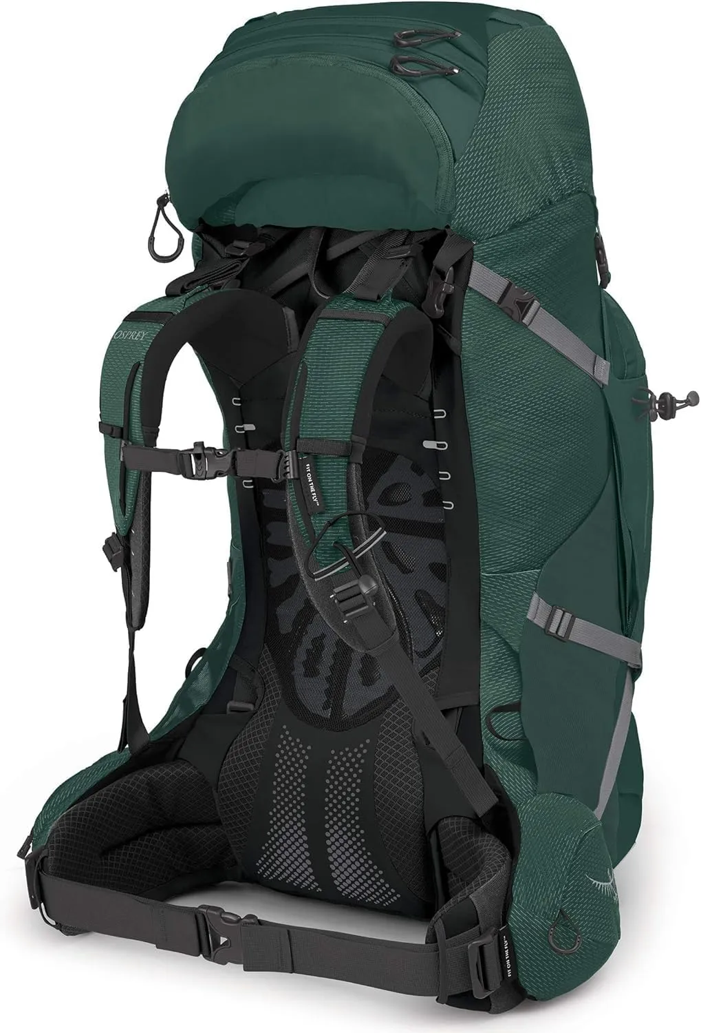 Osprey Aether Plus 70L Men's Backpacking Backpack, Axo Green, S/M