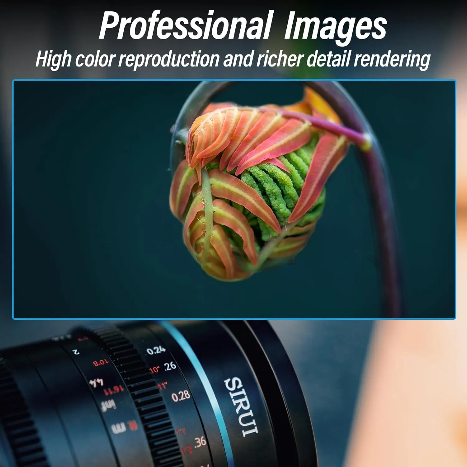 SIRUI 75mm Jupiter Macro T2 Full-Frame Cine Prime Lens (EF Mount)